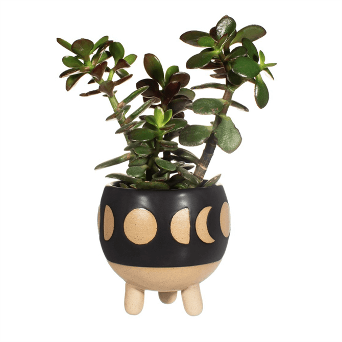 Sass & Belle Moon Phases Small Planter Black